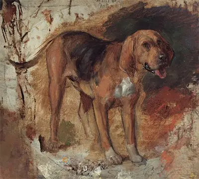 Study of a Bloodhound William Holman Hunt